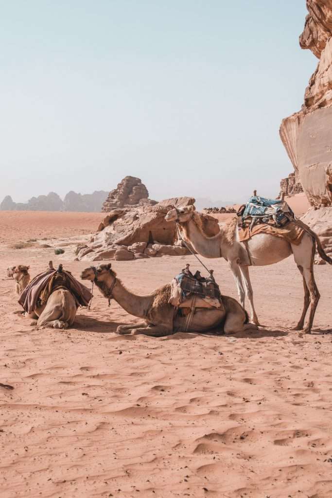 Guide to Wadi Rum, Ultimate Guide to Wadi Rum