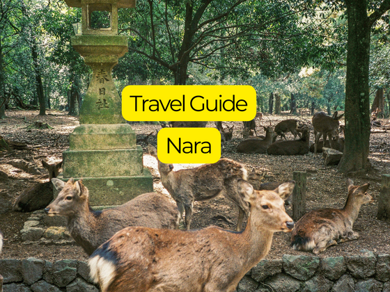 NARA TRAVEL GUIDE -Feature image