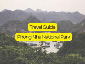 Things to do in Phong Nha Vietnam