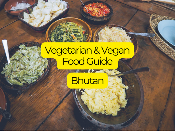 VEG AND VEGAN FOOG GUIDE TO BHYTAN feature image