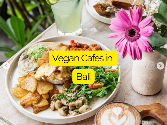 VEGAN CAFES IN BALI feature image