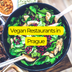 vegan rest in prague feature image