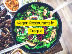 Discover the Best Vegan Restaurants in Prague
