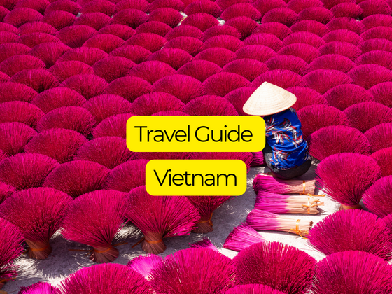 VIETNAM TRAVEL GUIDE- feature image