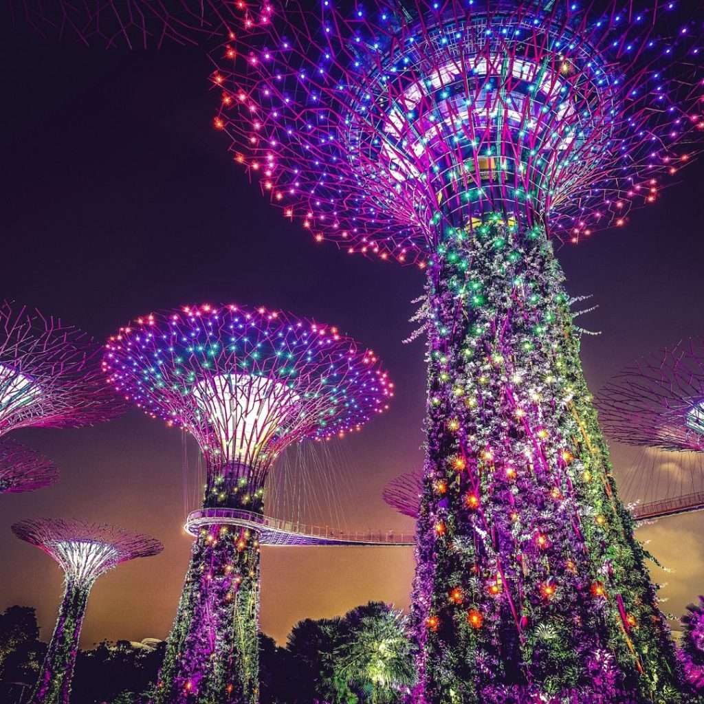 gardens by the bay singapore itinerary (2)