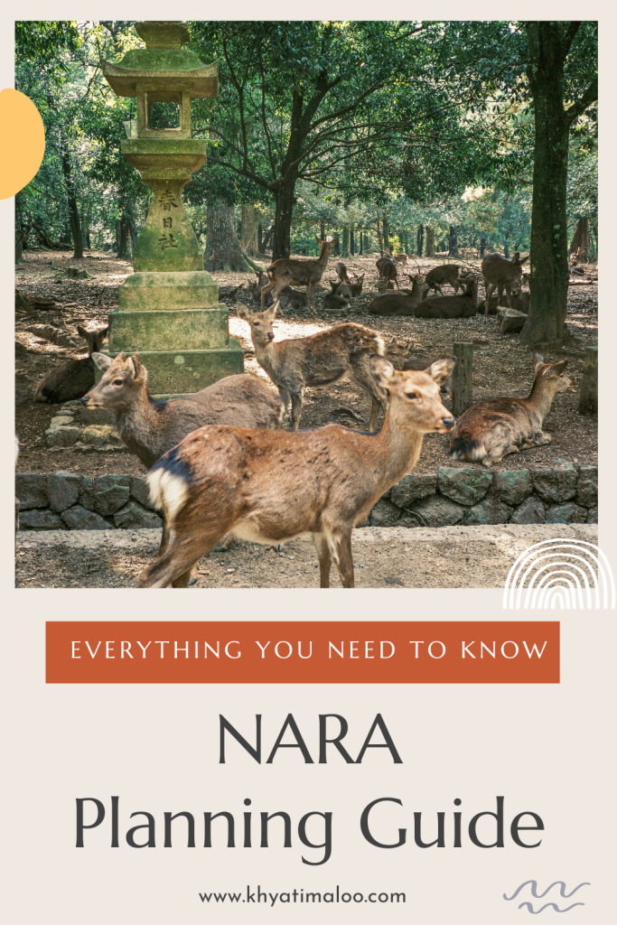 Nara travel guide, Nara Travel Guide: Top Things to Do, How to Reach and Cost of Travel