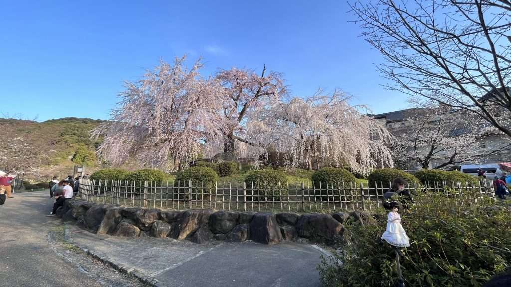 Best things to do in Kyoto, Best Things to Do in Kyoto