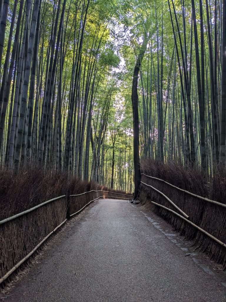 Best things to do in Kyoto, Best Things to Do in Kyoto