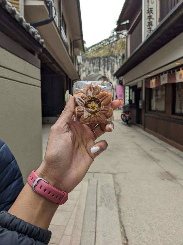 Japan Itinerary for First Time Travellers, Best Japan Itinerary for First-Time Travellers