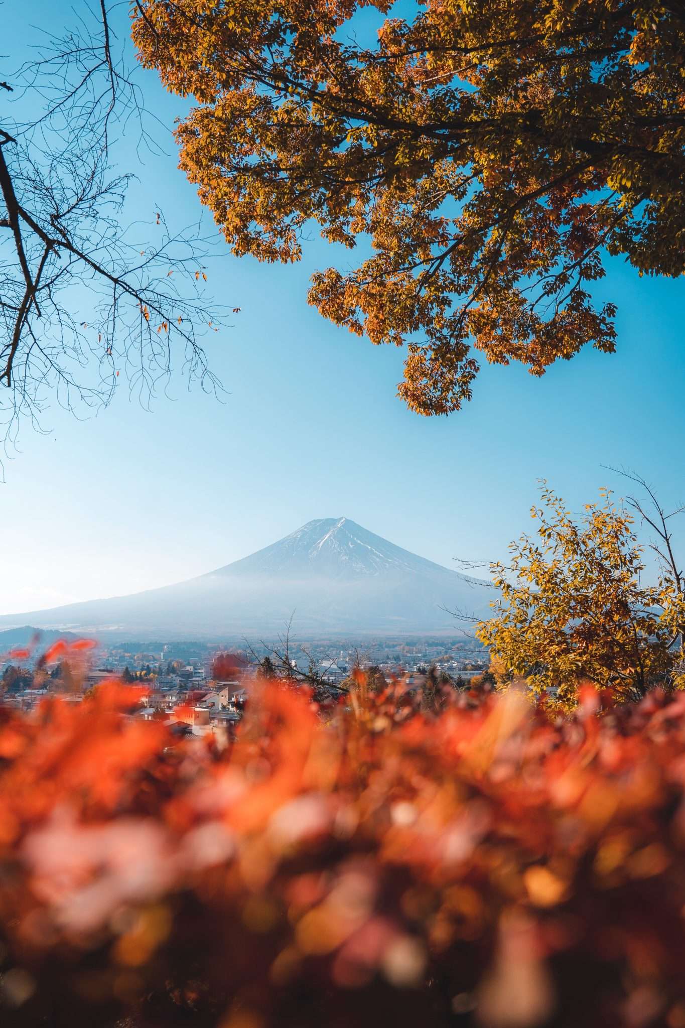 Mt Fuji Day Trip The Ultimate Guide 2025 • Khyati Maloo