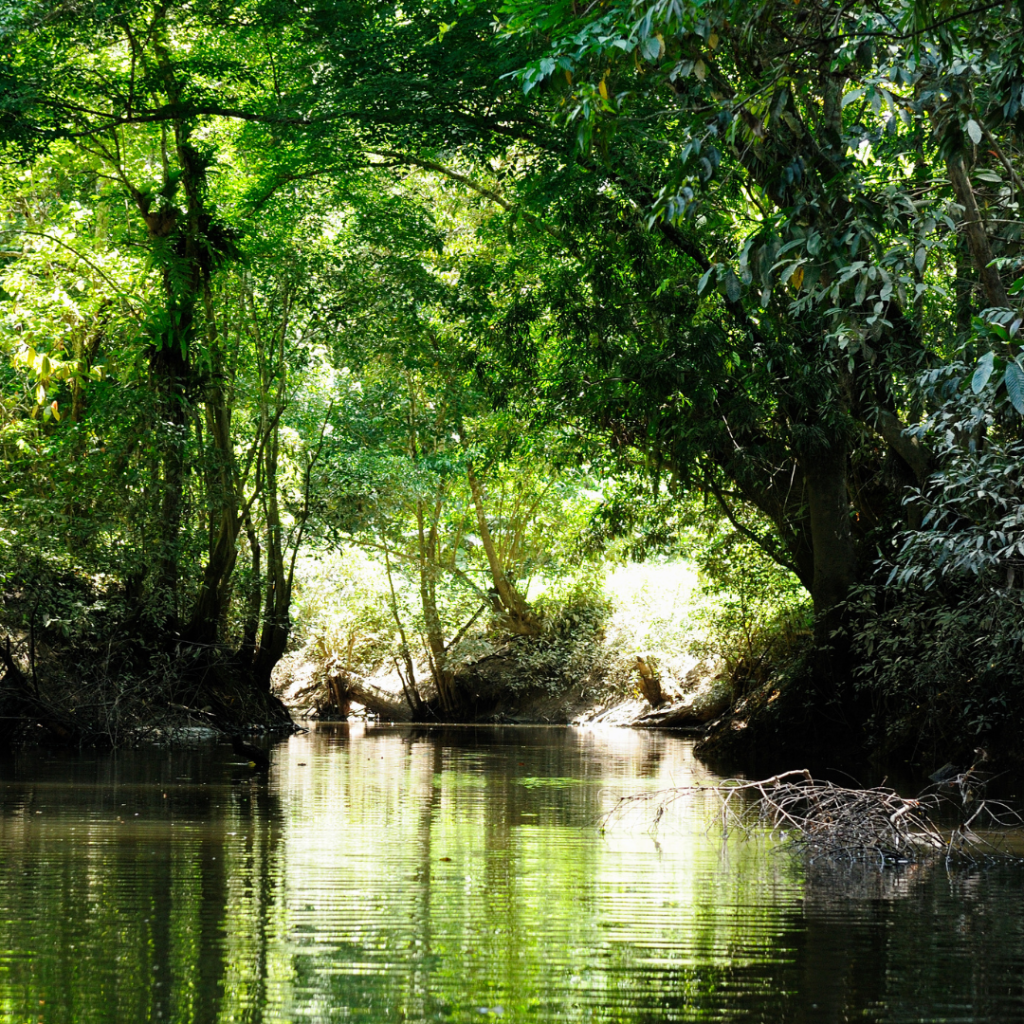 Borneo 7-days Itinerary, Borneo 7-days Itinerary