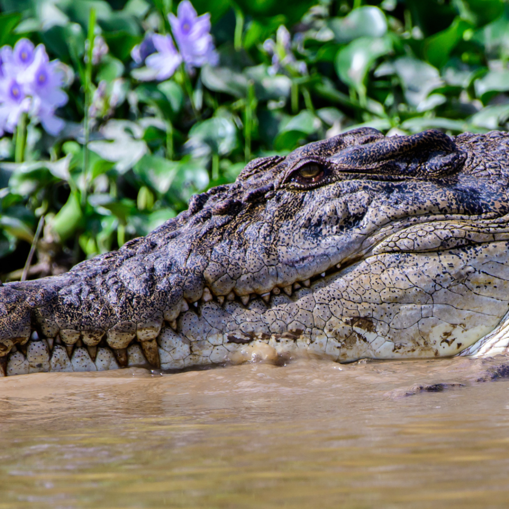 Borneo 7-days Itinerary, Borneo 7-days Itinerary