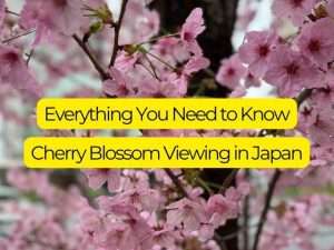 Cherry Blossom in Japan 2025; Forecast, Best Spots & Tips