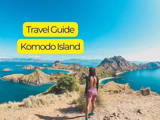 Komodo island guide feature image