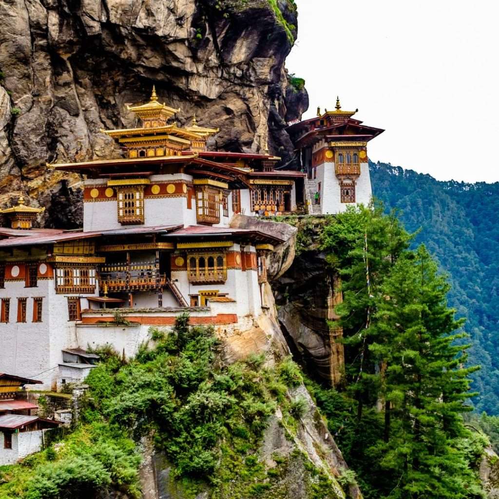 Tigers nest Bhuta