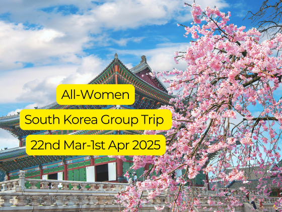 All Women South Korea Group Trip Cherry Blossom 2025