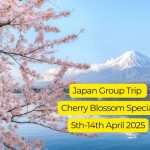 Japan group trip cherry blossom