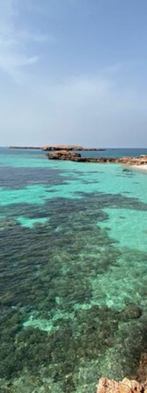 xr:d:DAFrh3sImKw:12,j:2781372475814736735,t:23081415