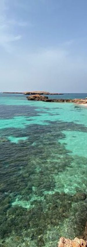 xr:d:DAFrh3sImKw:12,j:2781372475814736735,t:23081415