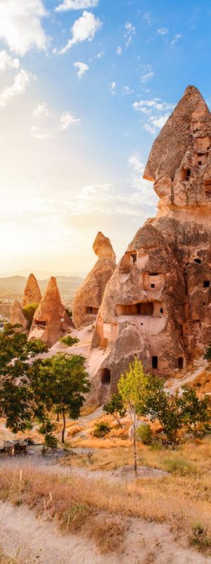 xr:d:DAFyccLDwEo:7,j:8020192341538464263,t:23102709