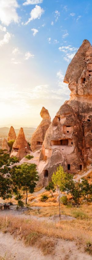 xr:d:DAFyccLDwEo:7,j:8020192341538464263,t:23102709