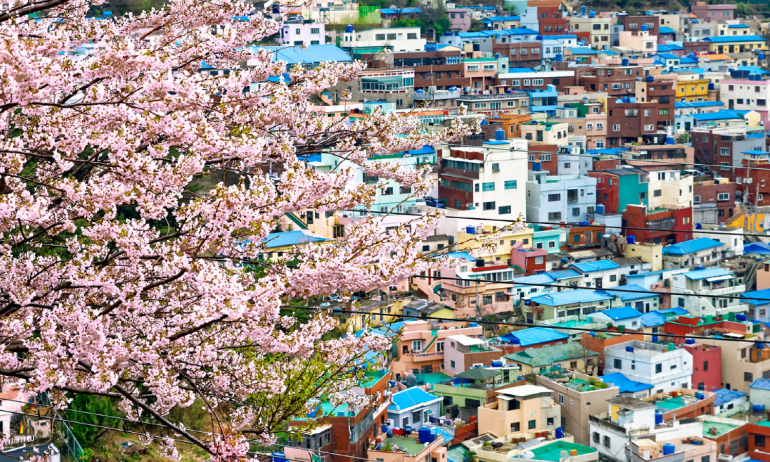 south korea custom itinerary (1) south korea custom itinerary (1)